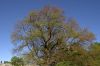 IMG_0686_edit_small.jpg